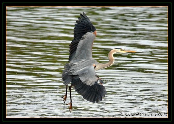 PC-DSC_4520.JPG