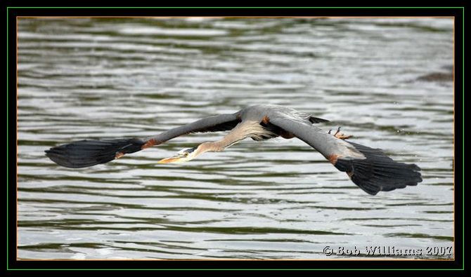 PC-DSC_4522.JPG