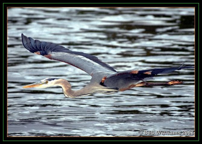 PC-DSC_4527.JPG