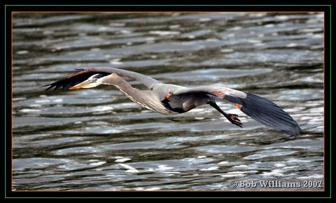 PC-DSC_4529.JPG
