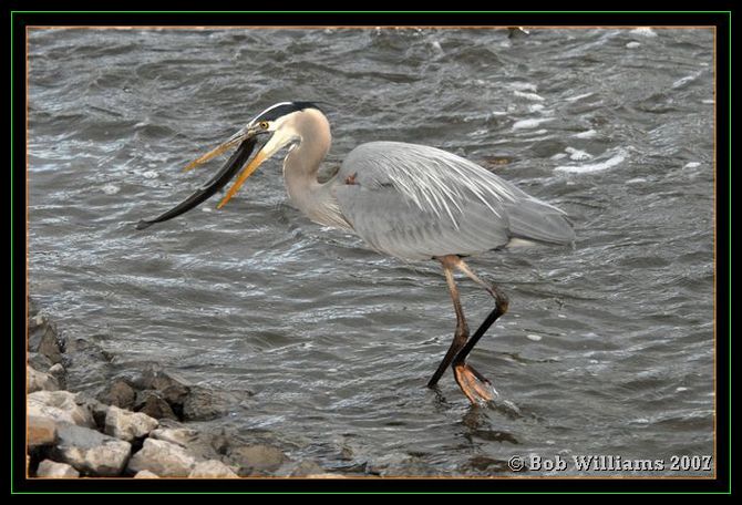 PC-DSC_4550.JPG