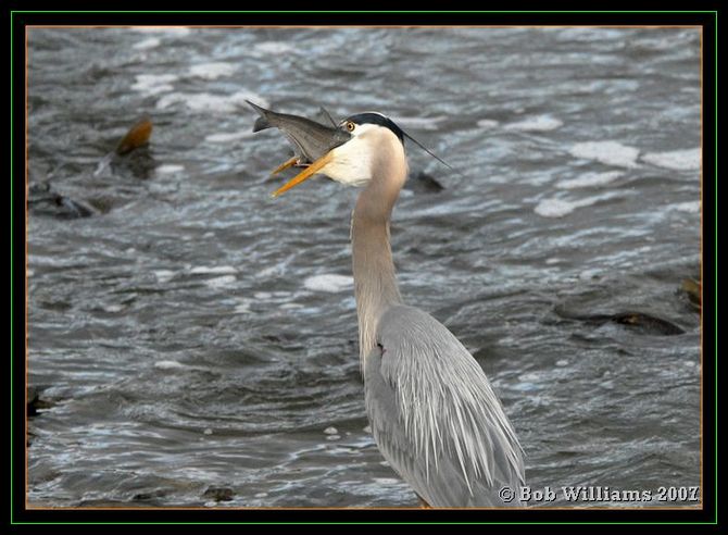PC-DSC_4553.JPG