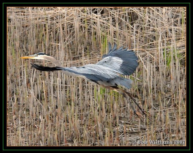 PC-DSC_4559.JPG