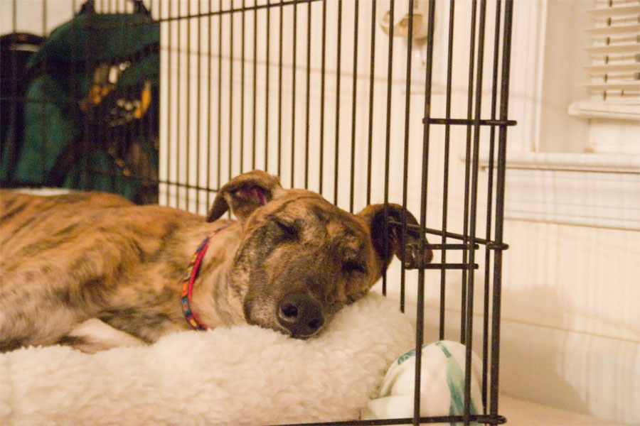 Day 1-Just so sleepy
