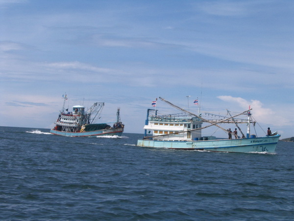 Koh Samet trawlers
