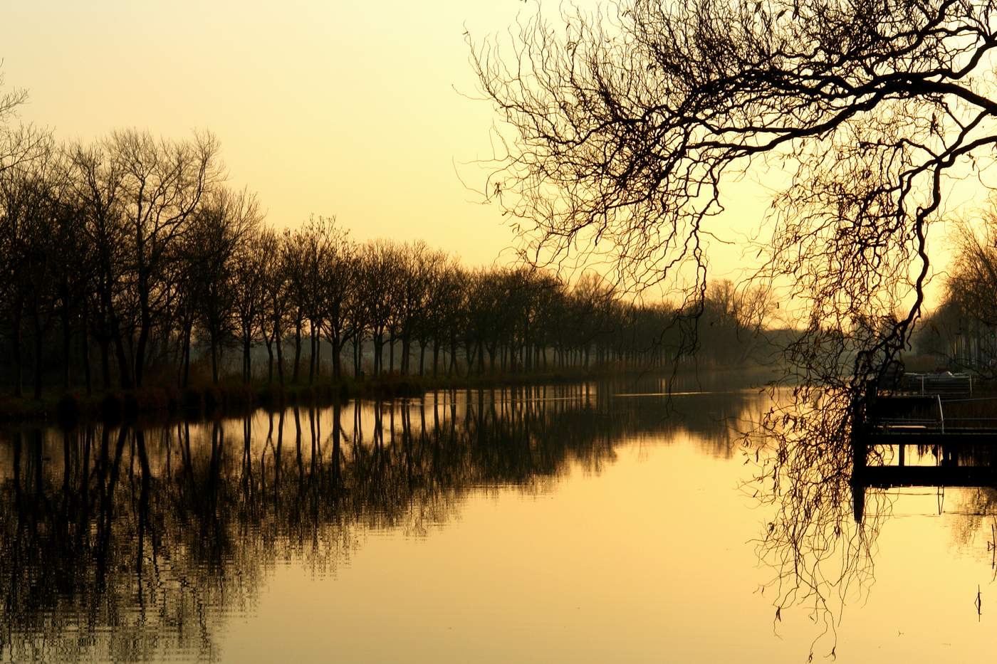 Yellow sunset