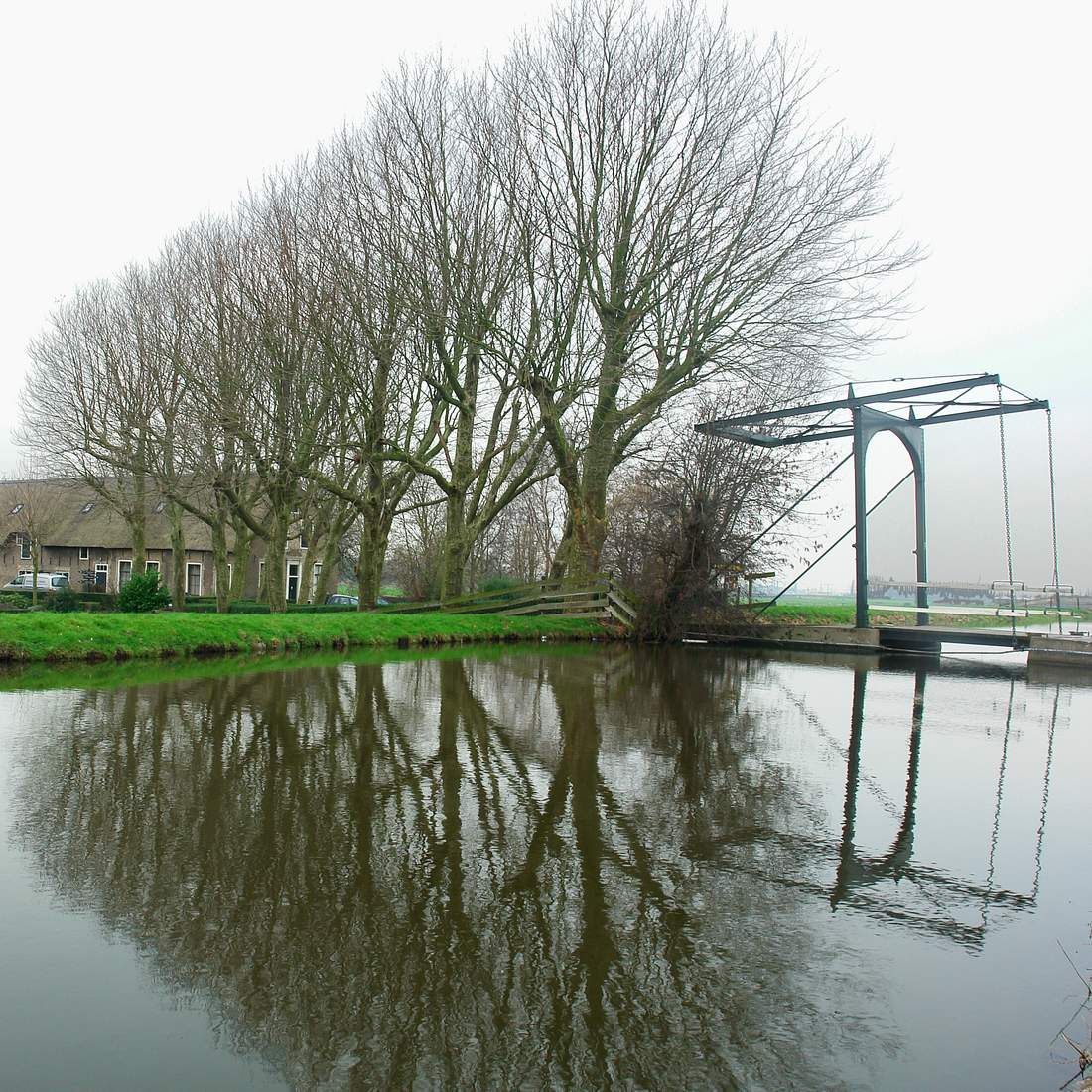 Bridge and trees