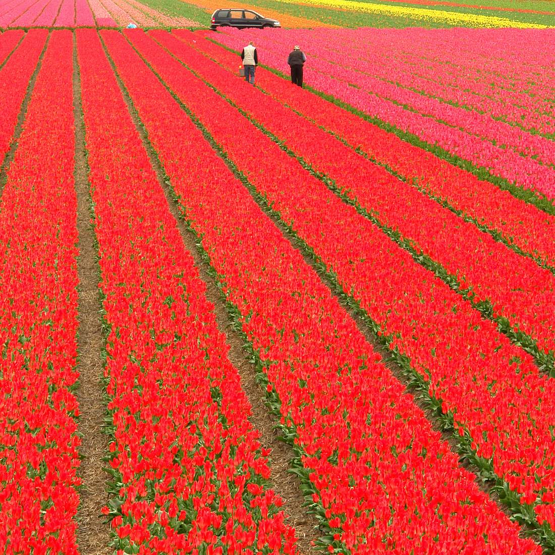 The two of in the field