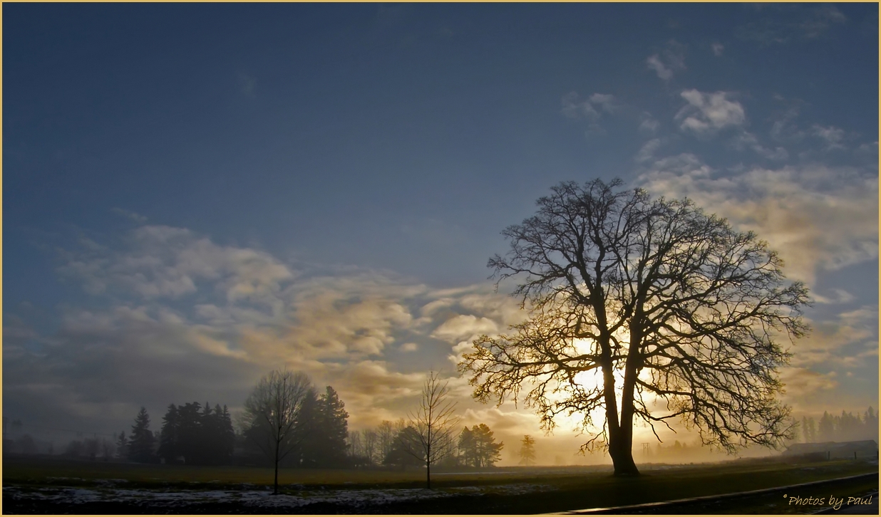 A MISTY SUNRISE . .