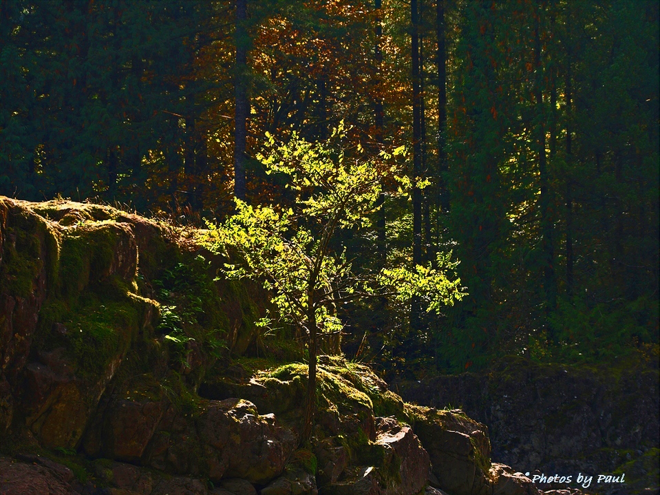 MOTHER NATURES WARMTH . . . .