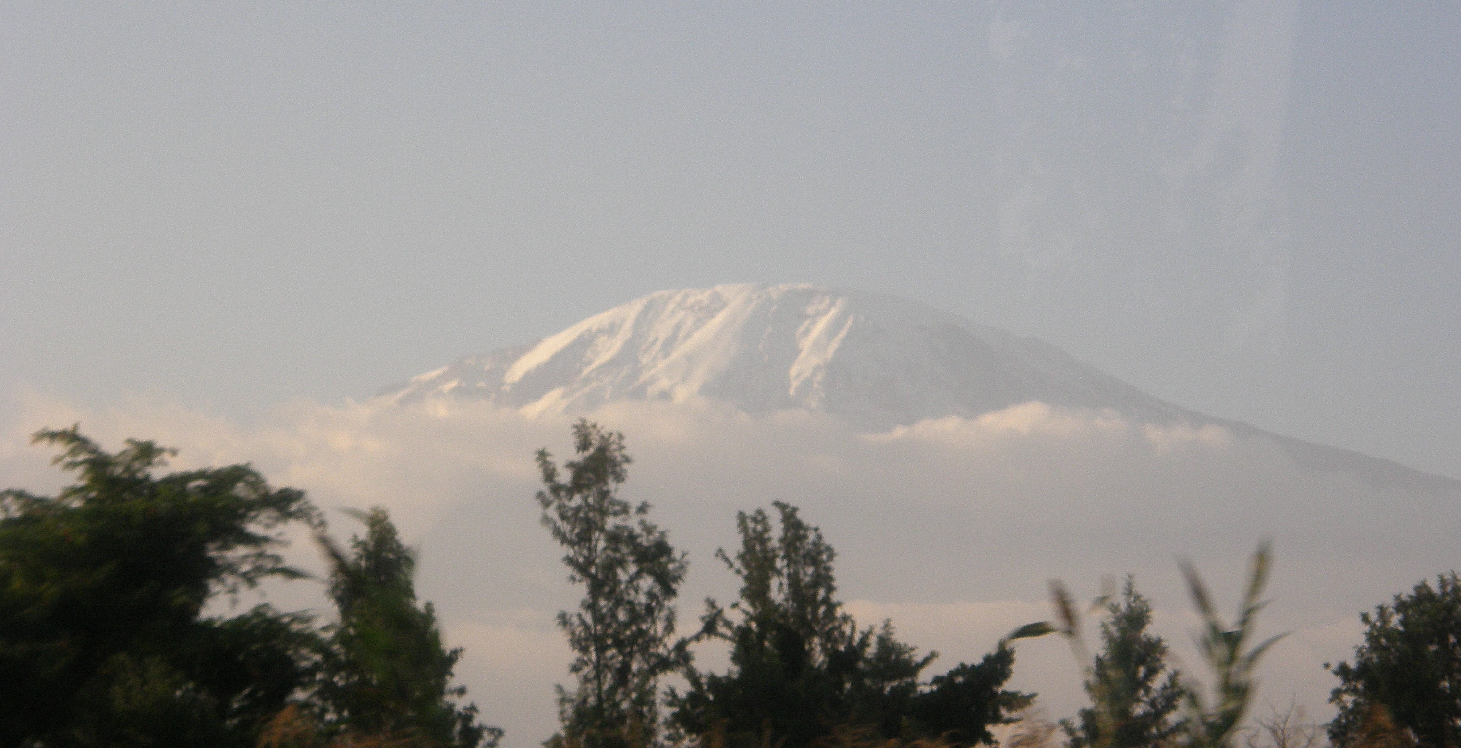 Kilimanjaro