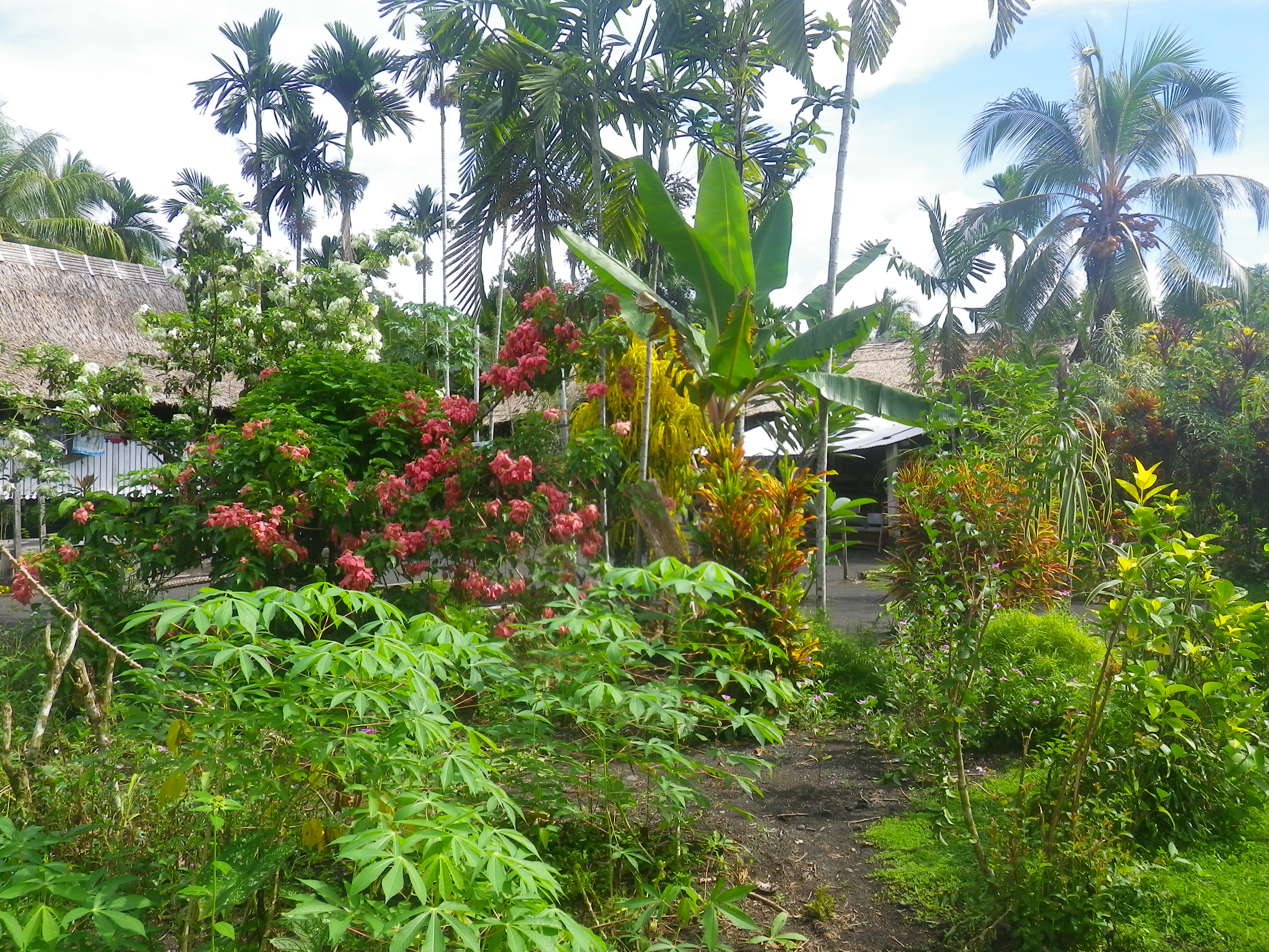 Lokoru village