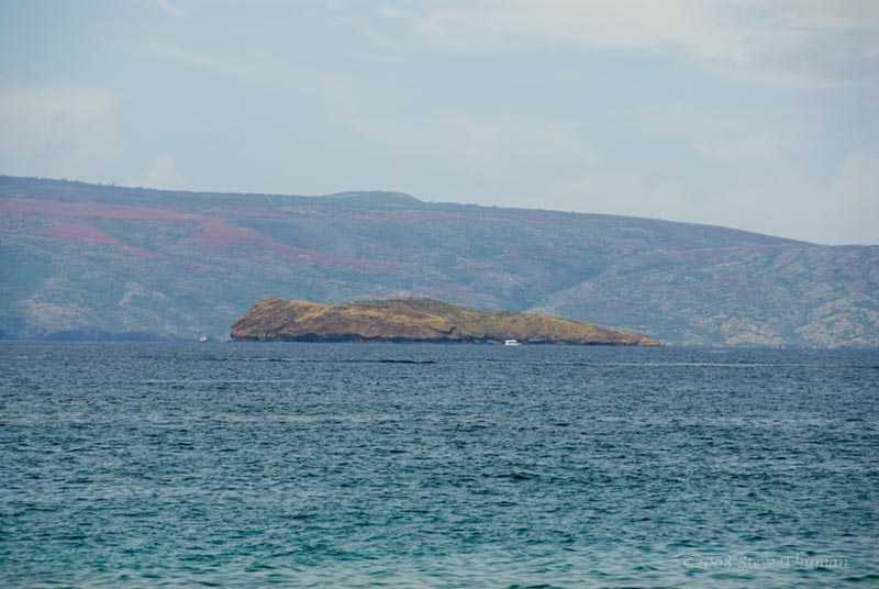 Molokini