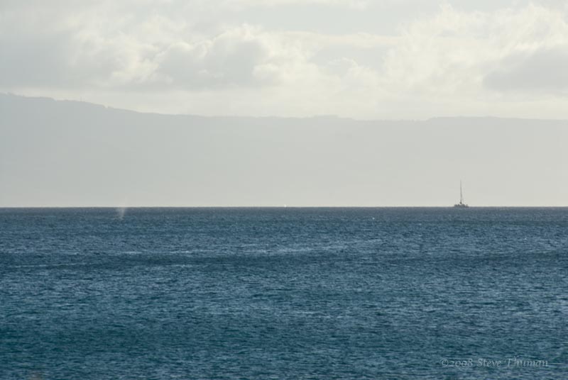 _DSC1603.jpg