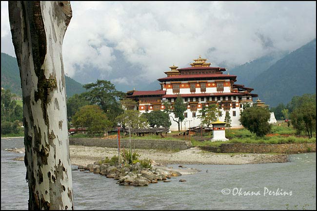 Punakha Dzong 1