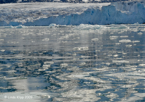 Ice, Liefdefjord,  Svalbard Norway