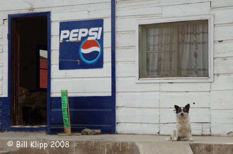 Pepsi Dog, Santa Rosalia Baja