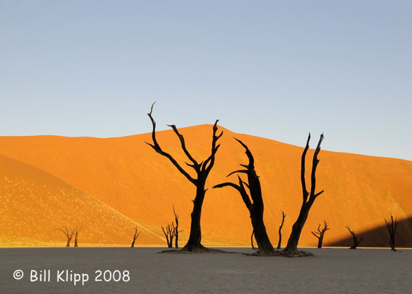 Deadvlei Pan, Naukluft Park Sossusvlei 1