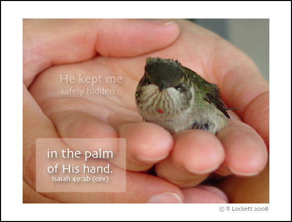 In His Hands