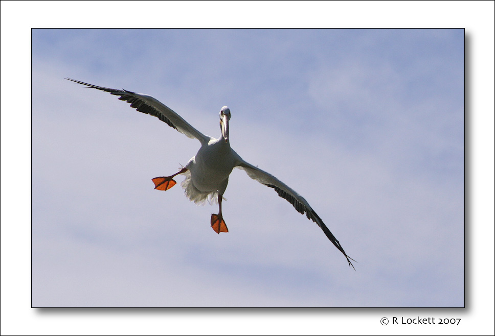left turn before landing