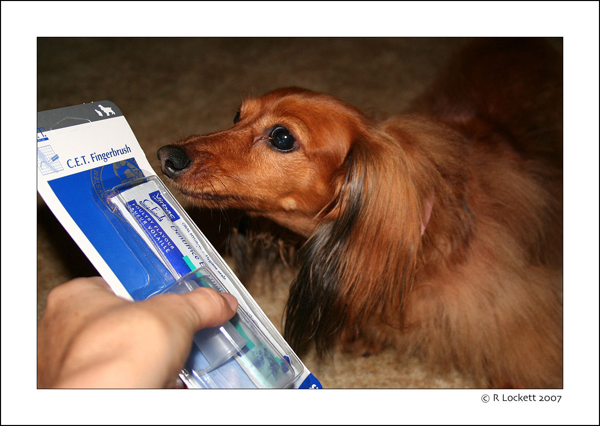 Talkin Toothpaste