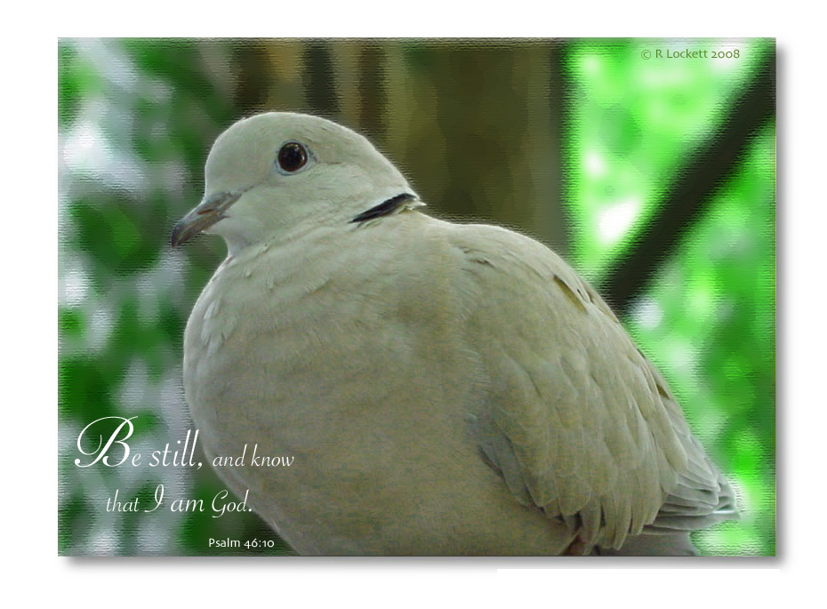 Be still...