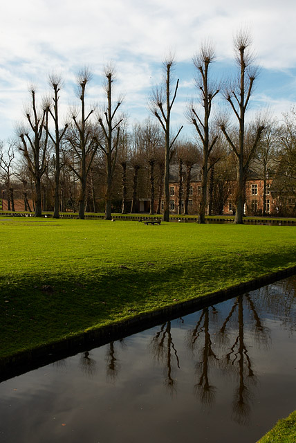 trees.jpg