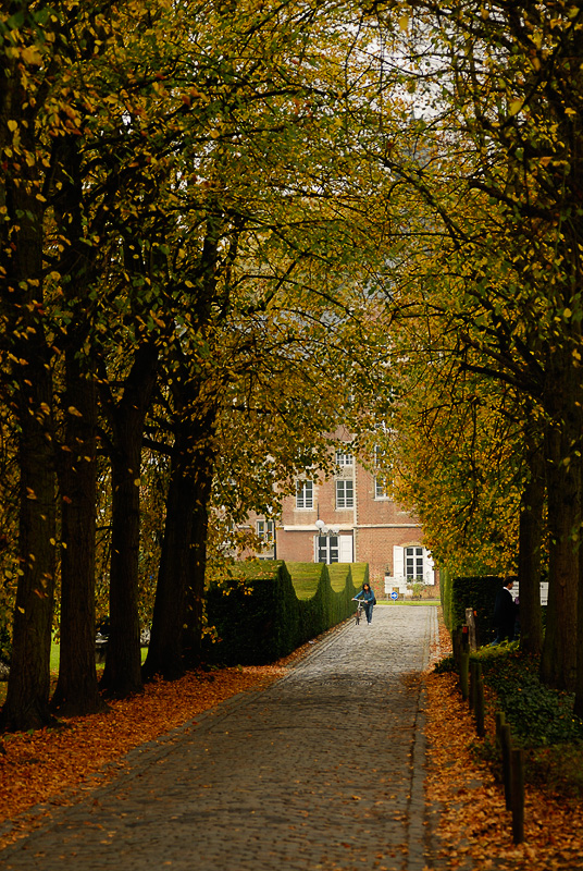 Kasteelpark Arenberg, Heverlee