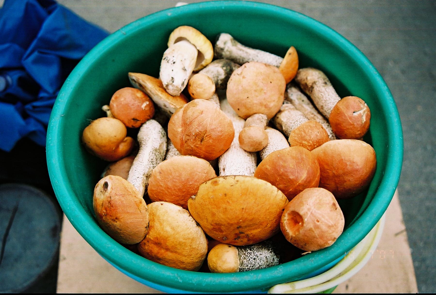Mushrooms