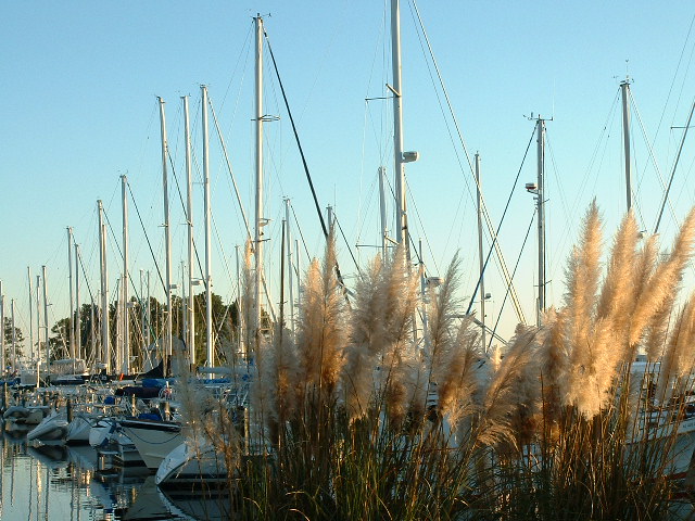 Masts