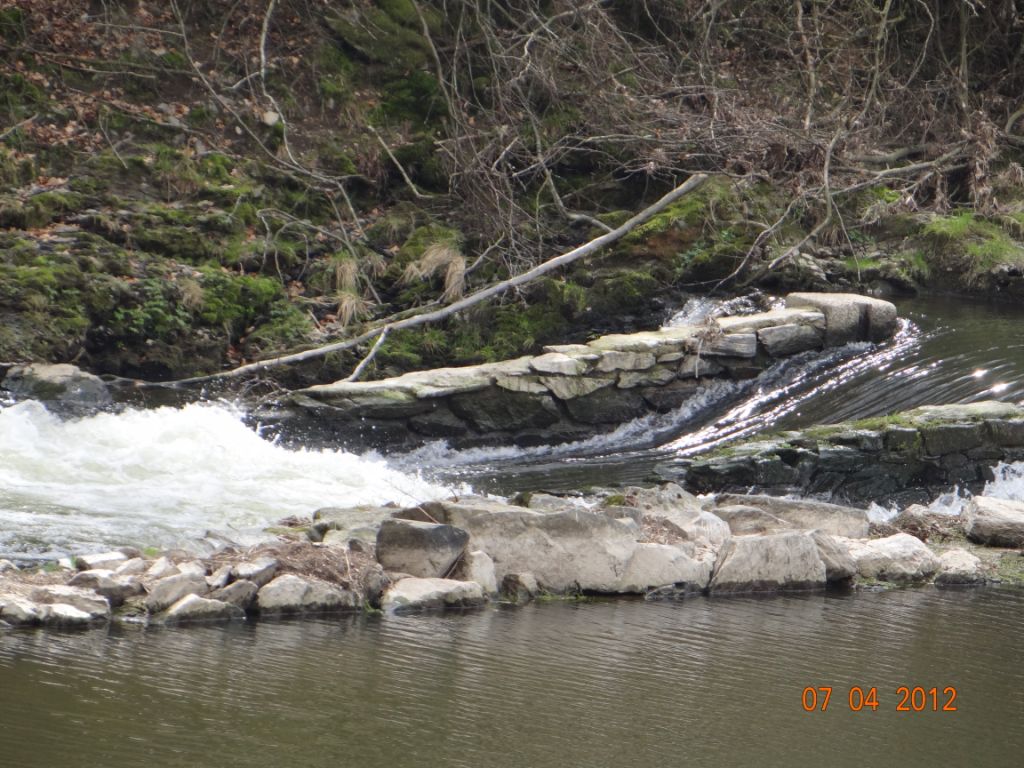 DSC00314.JPG