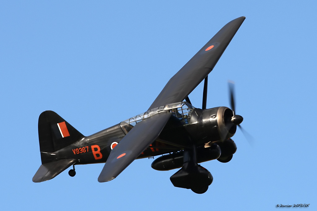 sh15.jpg