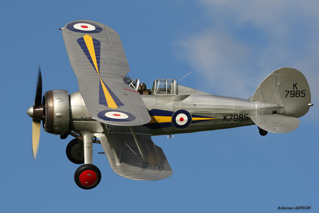 sh17.jpg