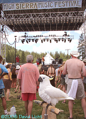 High Sierra Music Festival 2006