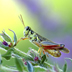 DSCF0119 -1 x 1 .jpg
