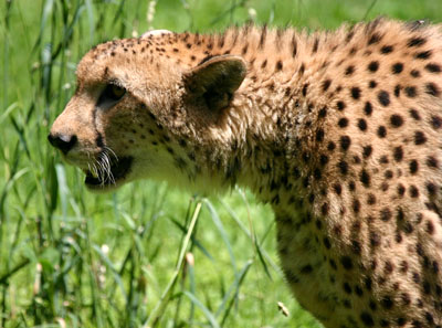 IMG_4770web.jpg