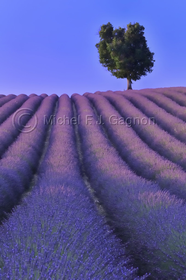Valensole1 (Silver => 8+6+7 = 21)