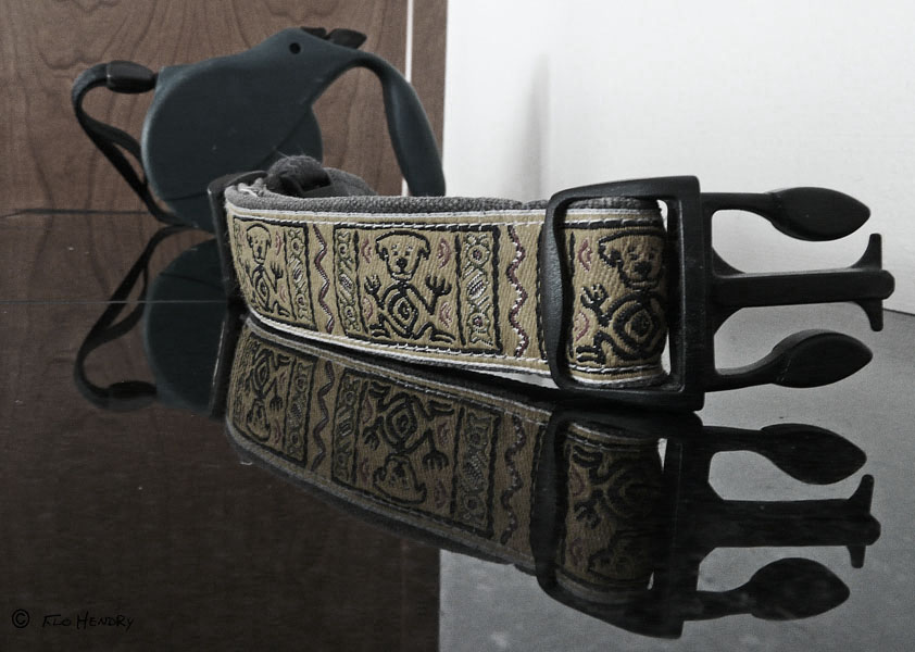 Tools of the Trade: Collar & Leash