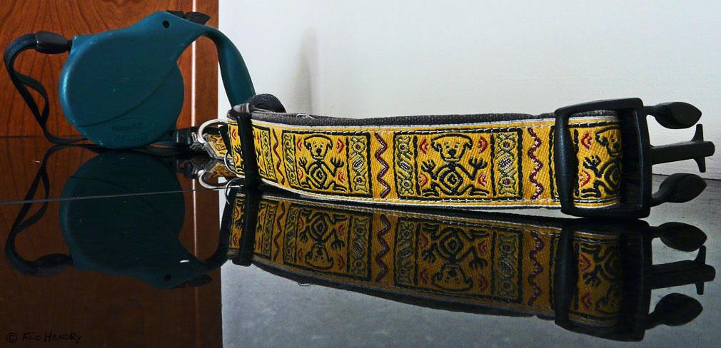 Collar & Leash