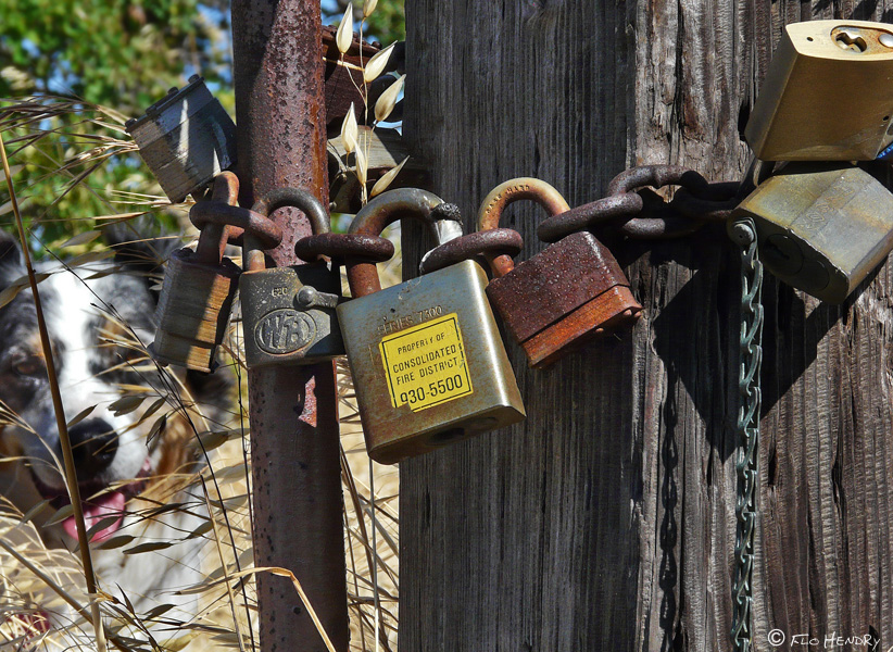 Please Dont Lock Me Out