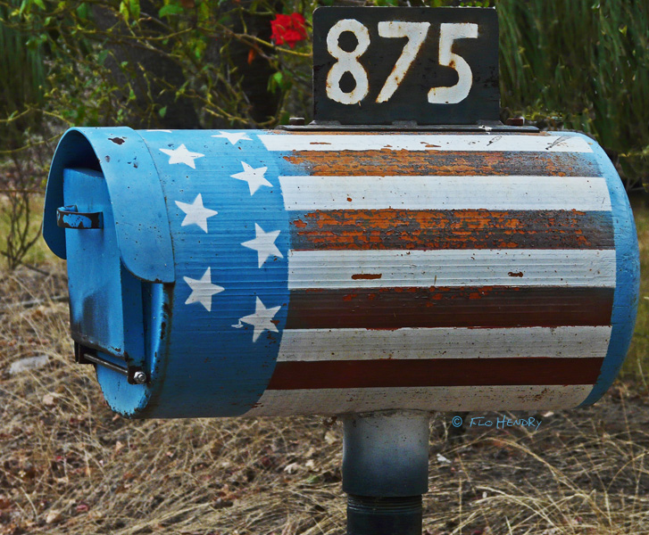 Custom Built_American Dream