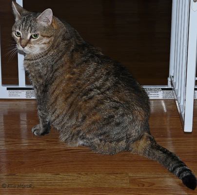 Boodie_0010_edited-1.jpg