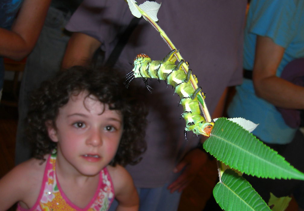 Broadmoor Caterpillar Show: Big caterpillar