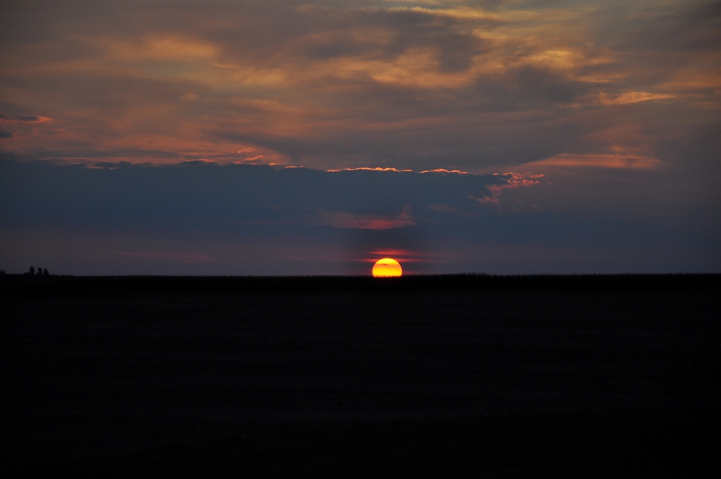 DSC_0212.JPG