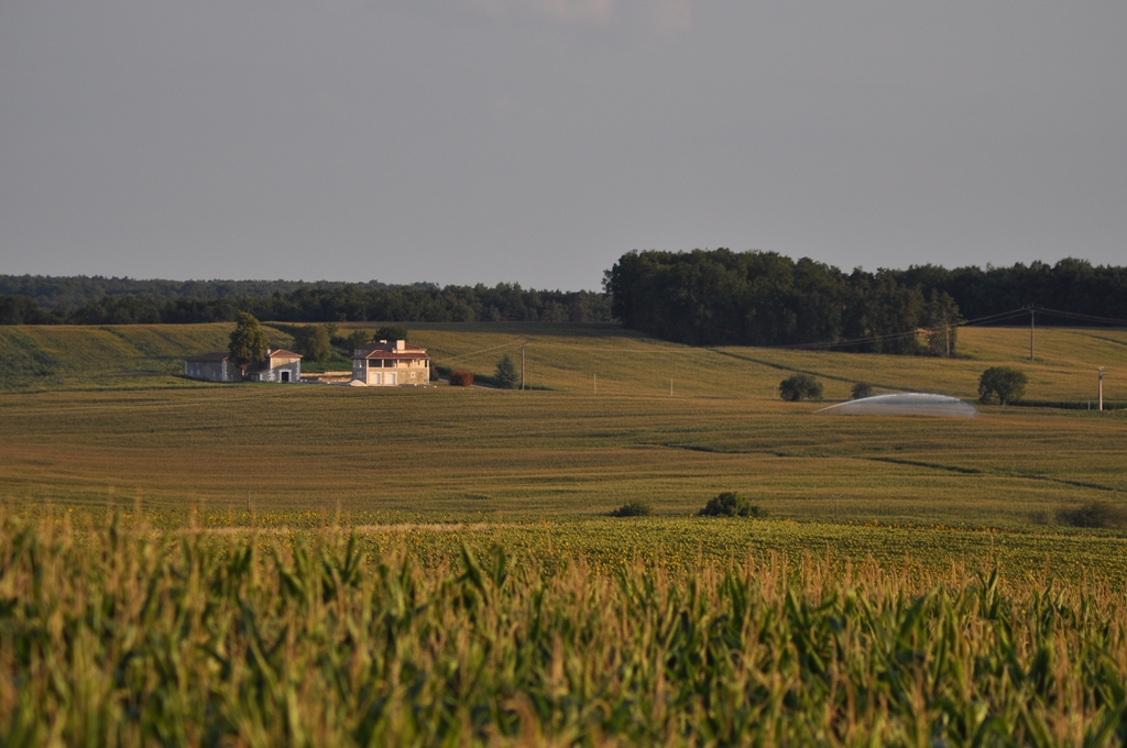 DSC_0235.JPG