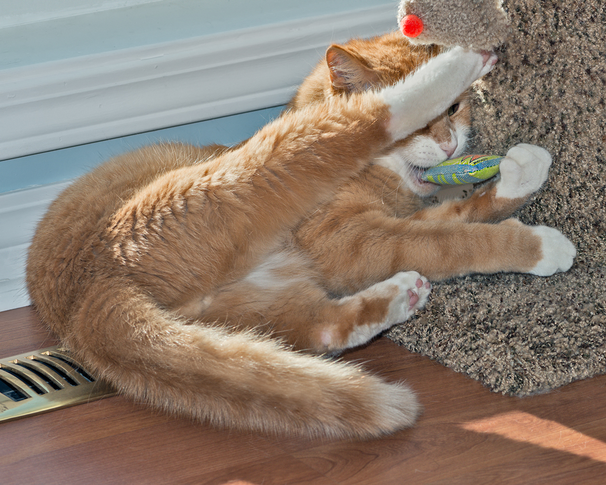 Playful