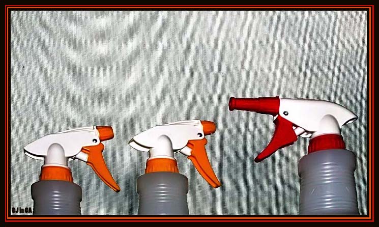 Getting the Ducks in a Row