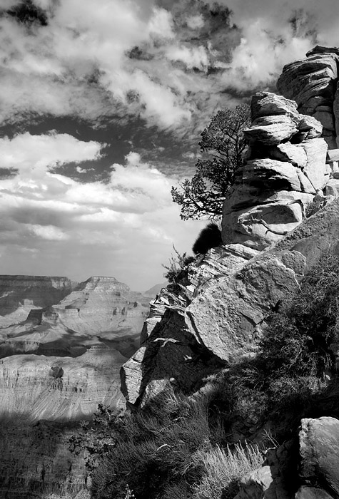 Rocks