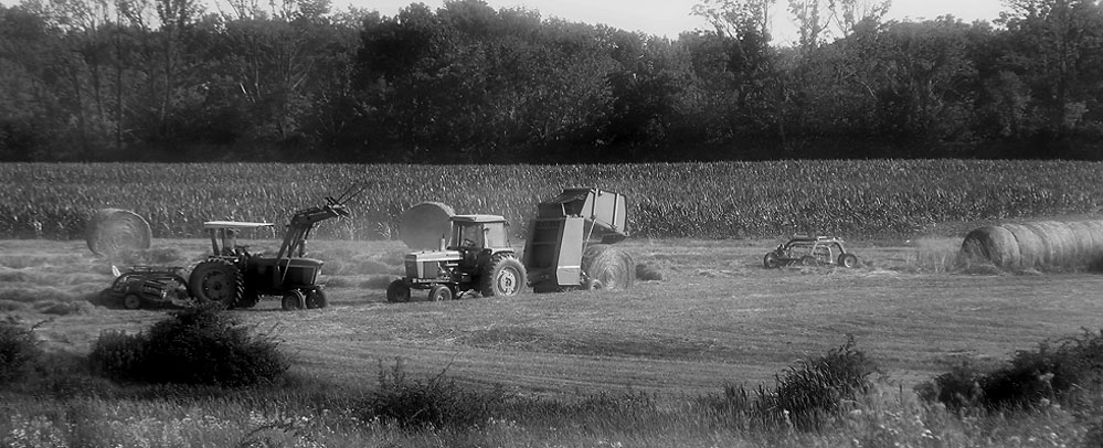 Round bales