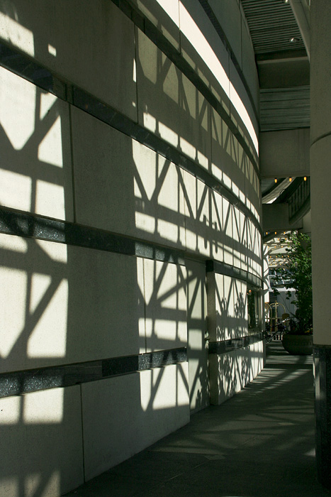 Shadows of a Big Hallway